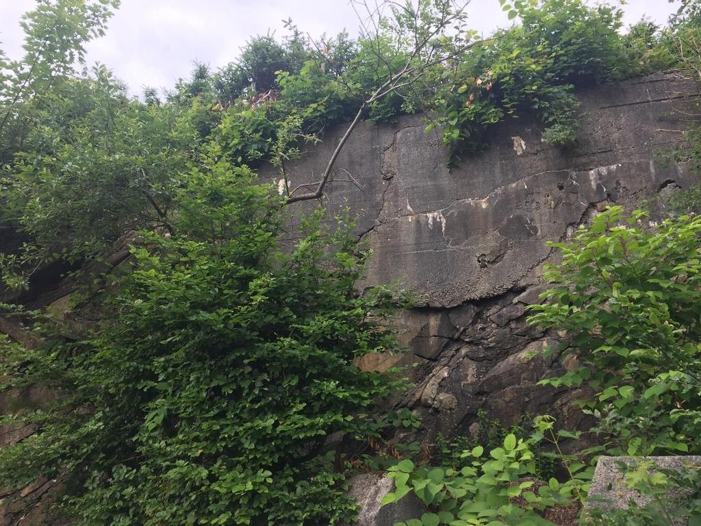 Rett i nordøst for bergskråningen, ved nabogrensen mot adkomstveien, er det en eldre forstøtningsmur av betong med ukjent kvalitet og utførelse som også ser ut til å være i dårlig forfatning, se