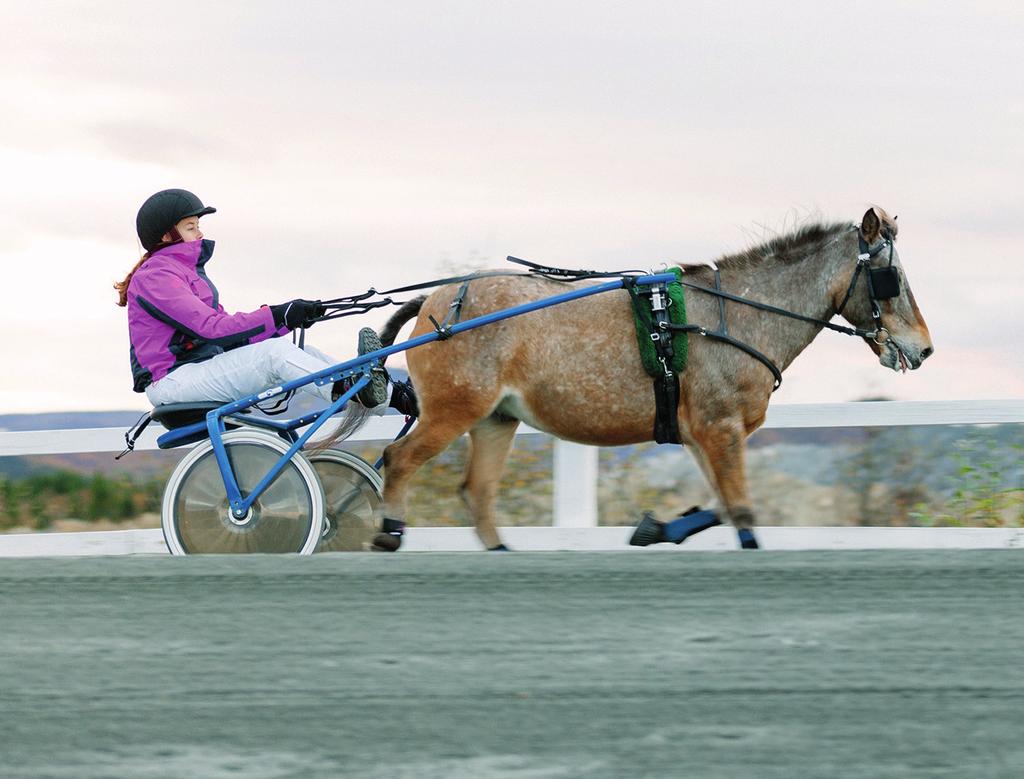 Kaldblods For --årige høyest 9. kr. m. Tillegg m. ved vunnet. kr. Premier:.-7.-.-.-.-(.) kr. Start ca. kl.. 7. LØP Beige 8: 7 Vinner - SØVIKTINDRA - Tvilling - -8,7v -9. år Mørkbr HP v. Bork Odin e.