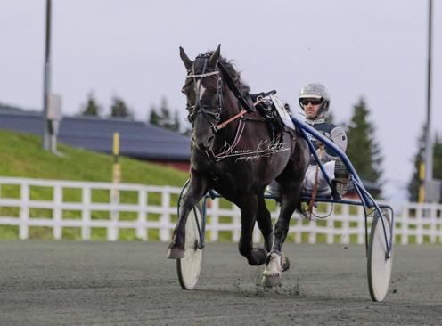 Travlagshesten Nord-Norge 9 Travlagshesten kom i gang etter idé fra Ofoten Travlag. Oppstart for den nå avsluttede konkurransen var..7, varighet et år.