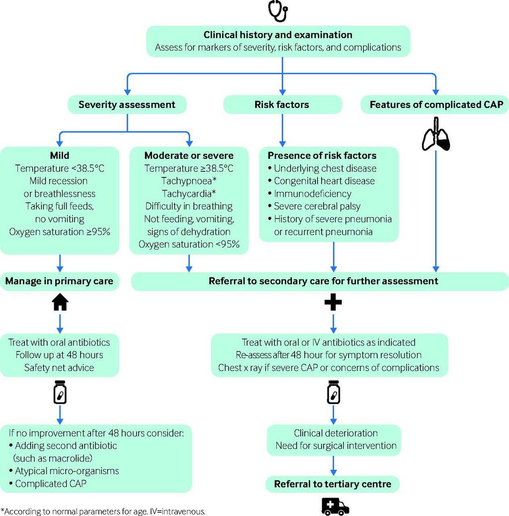 Fig 1 Algorithm for assessment and management of community acquired pneumonia (CAP).
