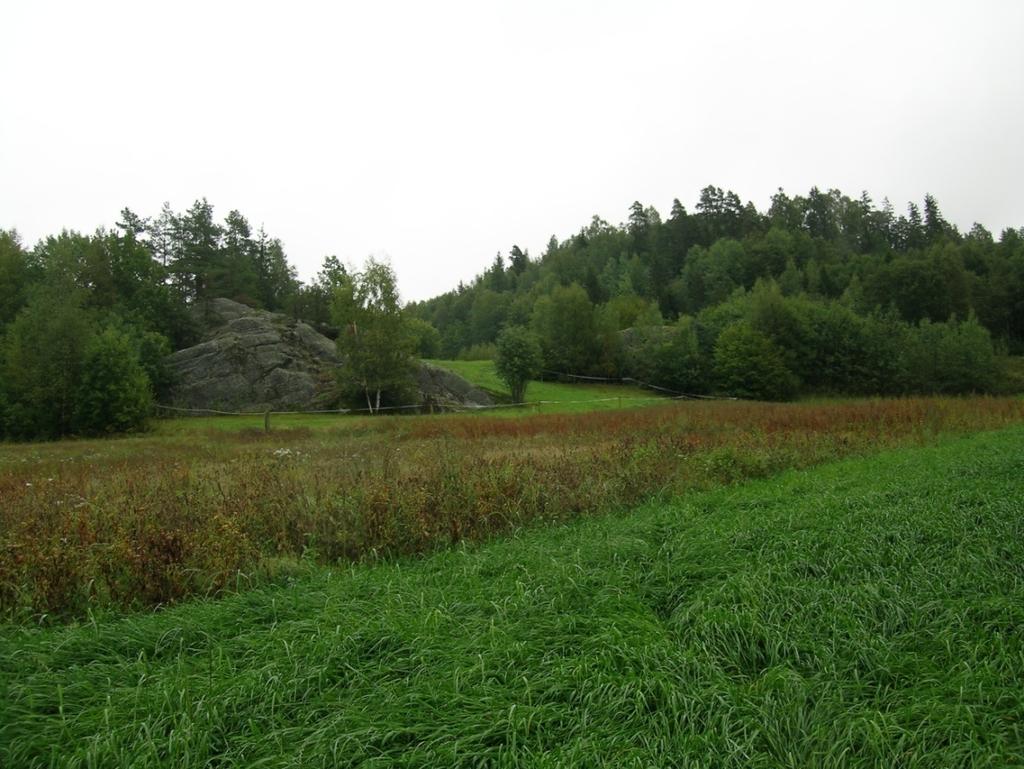 jordbruket i området kan gå tilbake til 3000 f.kr. (Mikkelsen 1989:124). Jens Storm Munch (1965:99) nevner 150 gravhaugar der 18 har gravfunn.