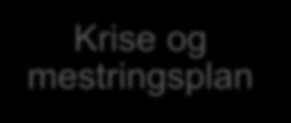 krise og mestringsplan Handler om å forebygge, forhindre en