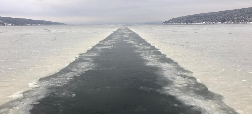 Fagrådet for vann- og avløpsteknisk samarbeid i indre Oslofjord