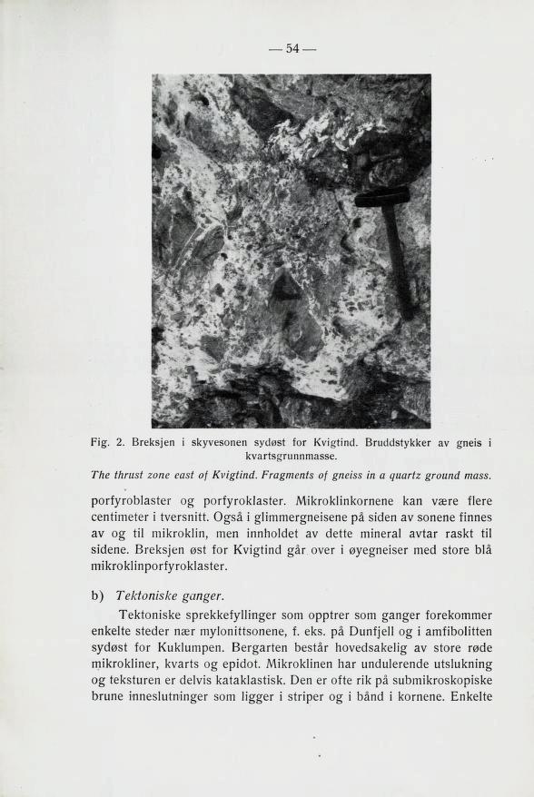 54 Fig. 2. Breksjen i skyvesonen sydøst for Kvigtind. Bruddstykker av gneis i kvartsgrunnmasse. The thrust zone east of Kvigtind. Fragments of gneiss in a quartz ground mass.