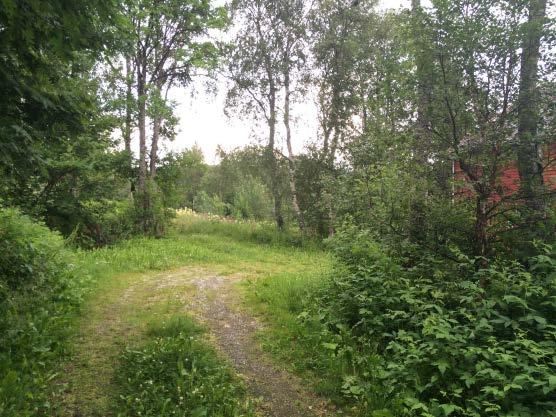 Planområdet har gode solforhold med både morgen, formiddag- og ettermiddagssol store deler av året.