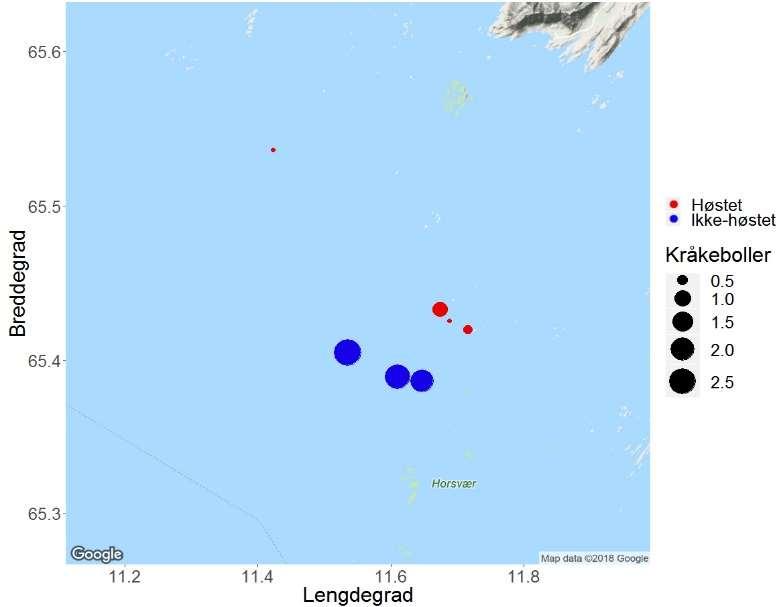 Tareundersøkelser i Nordland i 218 Kråkeboller (antall hapter -1 ) 2 1 Kråkeboller 214 218 Høstefelt Referanse Før høsting 4 år etter høsting Figur 22.