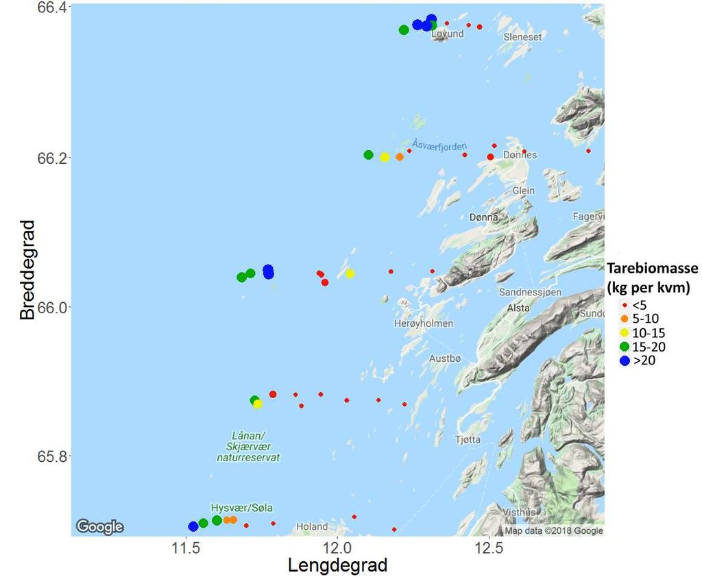 Tareundersøkelser i Nordland i 218 Figur 37. Estimert biomassetetthet av stortare på videostasjoner undersøkt i juni-juli 218 på kyststrekningen Vega Lurøy i Nordland.