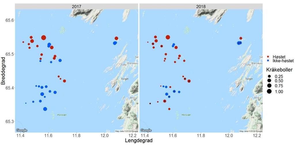 Tareundersøkelser i Nordland i 218 Sjøtun 22). I de senere år er det imidlertid observert lite grønn kråkebolle i sørlige deler av Nordland (Fagerli et al.