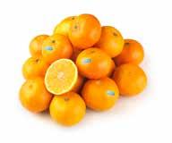 kg Appelsinjuice med/uten fruktkjøtt, Cevita, 1l