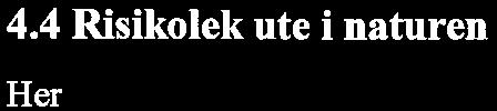 Selv om flere av barna i stor grad holdt på med «vanlige» rolleleker, vil de kunne defineres som risikolek hvis omgivelsene tilsier det (Sandseter, 2013).