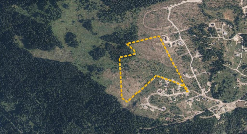 8 (21) 4. DAGENS SITUASJON Området er avskoget forholdsvis nylig, kun mindre områder med krattskog gjenstår. Figur 3 Ortofoto som viser dagens arealbruk (www.norgeibilder.no) 5.