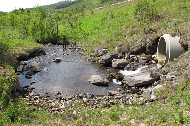 Røyteelva Considerable leap at outlet Water through