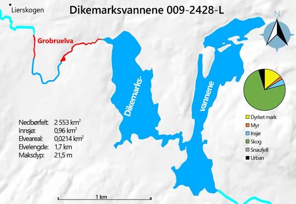3.12 Dikemarkvannene: Ulvenvannet, Verkensvannet, Nordvannet og Svinesjøen Nøkkeldata og inngrepshistorikk Storørretstammen i Dikemarksvannene ble i 2017 undersøkt gjennom en relativt detaljert