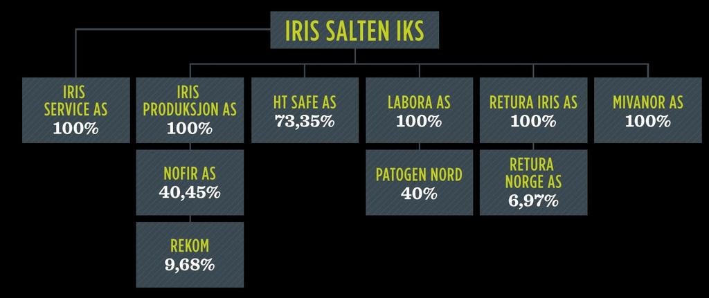 Eierskap. Figuren under viser eierskap i Iris Salten. Styret i Iris Salten IKS gjennomgikk høsten 2017 sin strategi for eierskap. Styret vedtok videre at det skal styret gjøre hvert år.