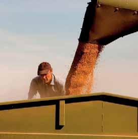 Knowledge grows Kunnskap gir vekst GOD AGRONOMI GIR RESULTATER I KORNPRODUKSJONEN For å øke