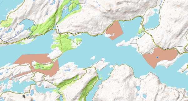 I tillegg til IBA områder er det en del områder i fjorden som har viktige ornitologiske verdier.