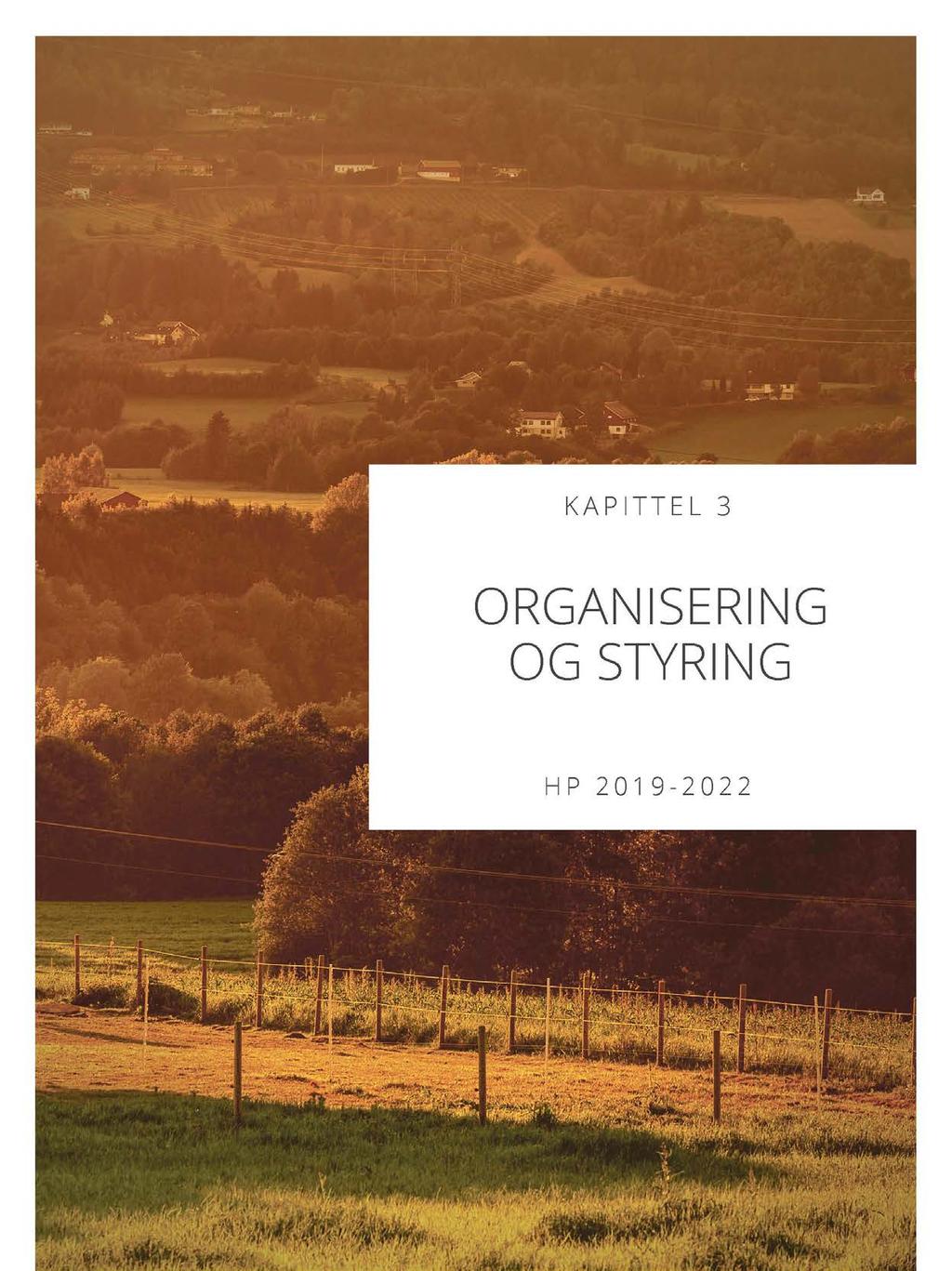 Organisering og styring Handlingsprogram
