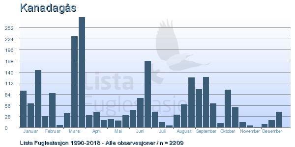 3.1. Kanadagås på Lista Observasjoner per