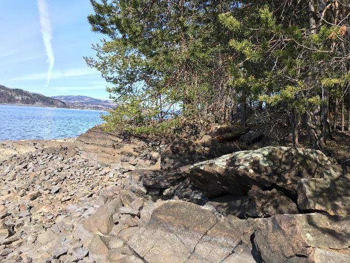 Råvannspumpestasjonen skal oppføres i skogholtet til høyre for folkene. Figur 5 Strandsonen består av berg og deretter skog.