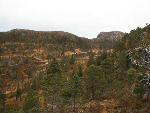 Bilder fra området Gravdalen-Barstadbøla Barstadbøla i