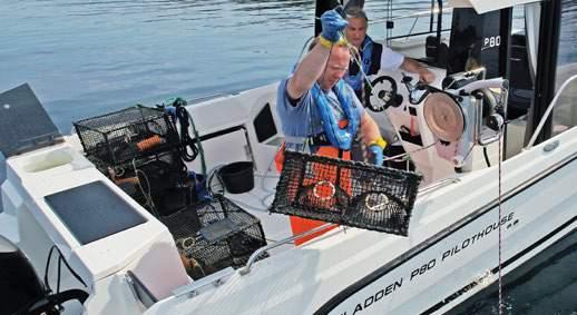 P80 Pilothouse Tøff helårsbåt med stort akterdekk NK PAKKE Priser inkl.