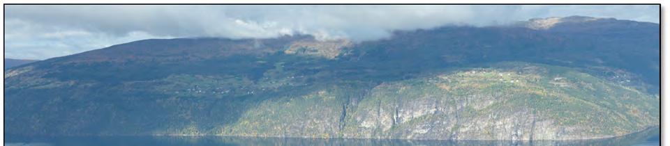 I møtet med fjorden er terrenget hovudsakleg som eit bratt stup. På toppen av stupet flatar terrenget meir ut, men har ein jamn helling frå Bergsetnakken.