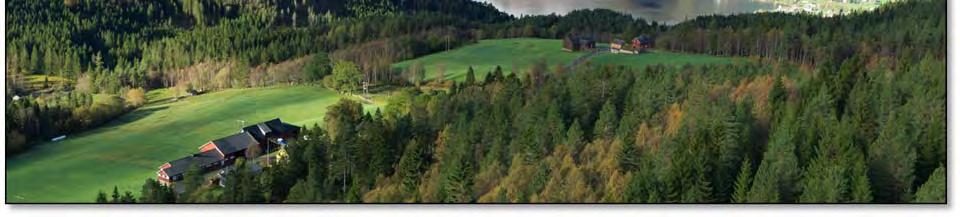Landskapet i Svor/Lida har ei veksling av opne jordbrukslandskap og tette/lukka skogslandskap.