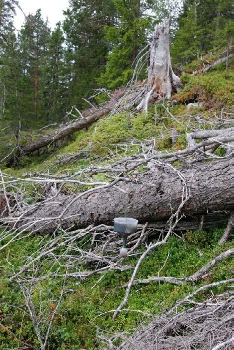 2014, og svarte firkanter angir de to eneste stedene det ble påvist