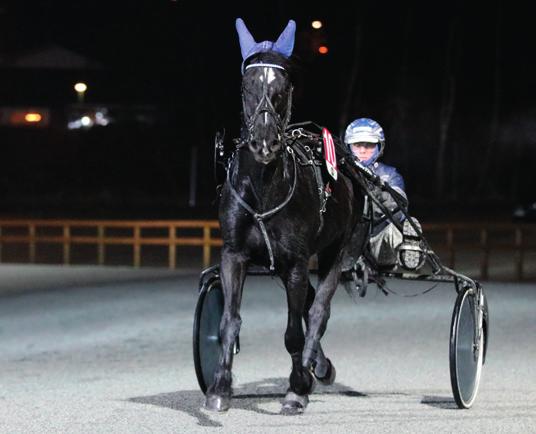 : Stall Racing Eier: Jan Moen /Sand Blå m/sølv ermringer&kanter,reklame Svein Ove Wassberg (T) - Jan Moen S. Wassberg 28/11-08/1 2040 1 24,7a 18 68 S. Wassberg BT 14/12-01/3 2100 4 26,4a 24 18 S.