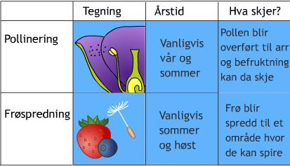 POLLINERING OG FRØSPREDNING o Hvordan blir en plante befruktet? Eks. erteplante eller epletre?