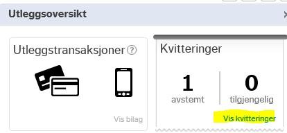 to utleggslinjer - Måltid føres på Utleggstype Kost etter regning 25% mva - Resten av regning føres på Utleggstype