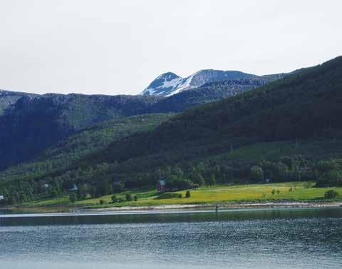 Nåjden i Bassevárre Denne artikkelen fokuserer på Bassevárre (948 moh) på Tjeldøya (Diellda) i nordre Nordland 1.