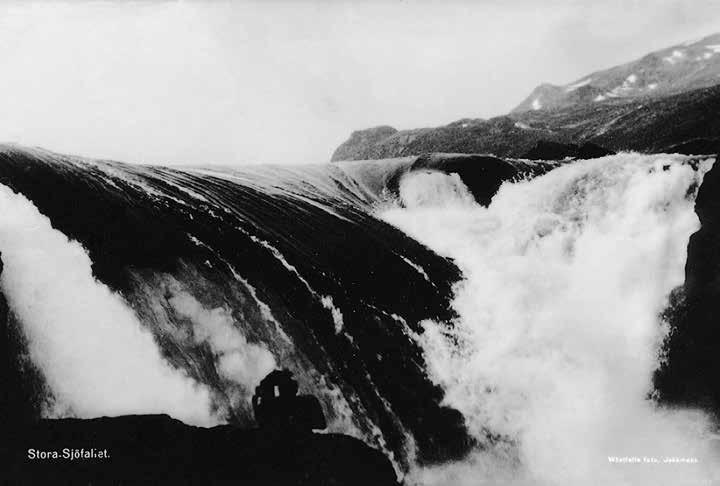 Stora Sjöfallet i början av 1900-talet innan dämningen. Foto: L. Wästfelt, Ájtte museum. fällen återvände till lulesamiskt område och familjen fick nära kontakt med boende längs Stora Luleälv.