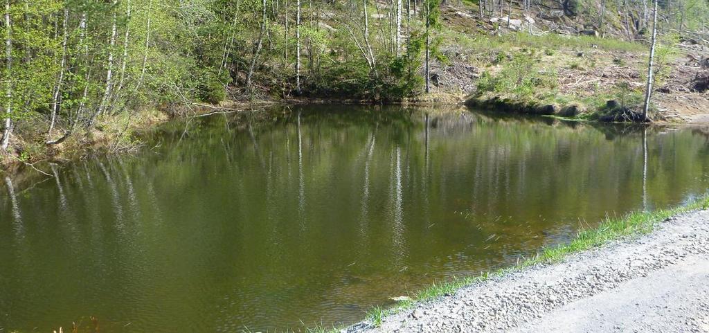 Fravær av fisk i mange av disse relativt små dammene gjør dem til gunstige amfibielokaliteter. Norconsult befarte området igjen 28.4.2014 for å registrere forekomst av amfibier i dammen.