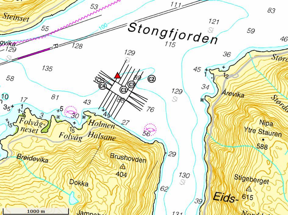 Botn i lokalitetsområdet skrånar ned mot nord til vel 129 meters djup. Her flatar botn ut til eit stort og relativt flatt basseng med djupner mellom 111-135 m, ca. 1 km frå land (figur 2).