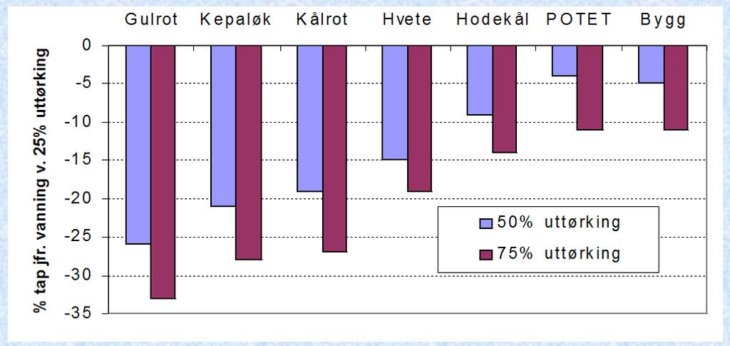 Hvor ofte bør det vannes?