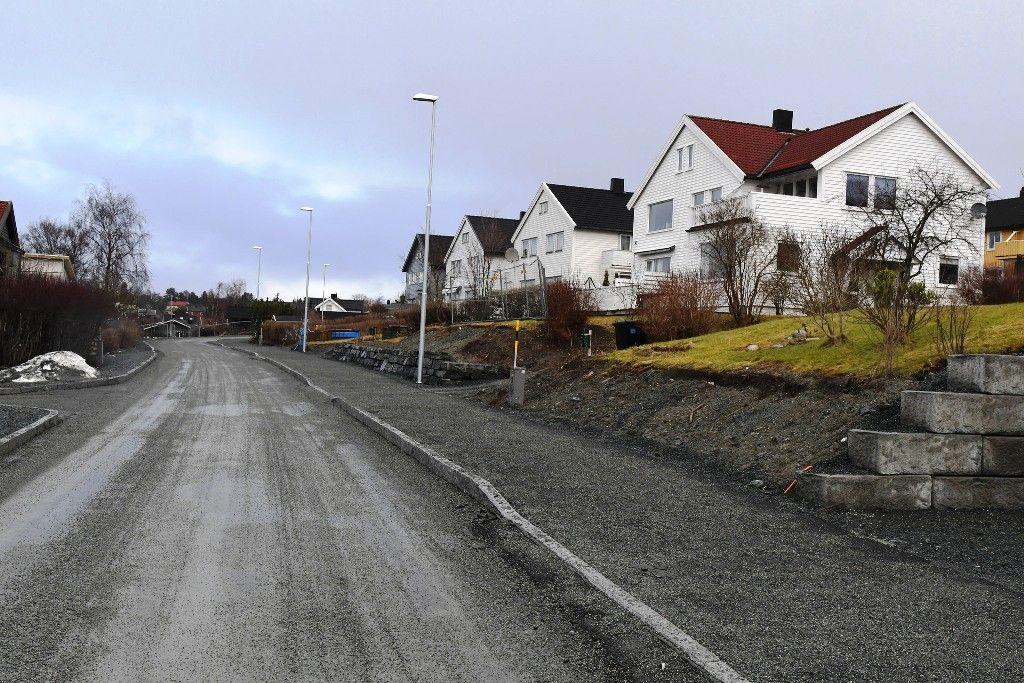 Av andre prosjekt som gjelder fortau langs kommunale veier, er fortau i Ringvålvegen ferdig prosjektert, men dialog med grunneiere førte ikke fram til enighet i alle avtaler i 2017.