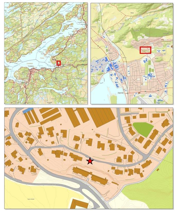 1. Innledning Følgende rapport omhandler dokumentasjon av bergkunstlokaliteten Stokkan Nedre, på Stokkberga i Stjørdal kommune i Nord-Trøndelag.