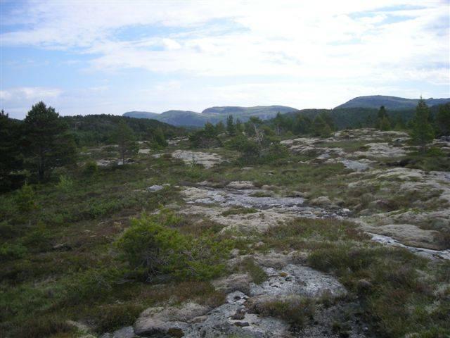 Endringer/konsekvenser som følge av planforslaget: Hyttefeltet vil bidra til økt bruk av strandsonen til friluftsliv.