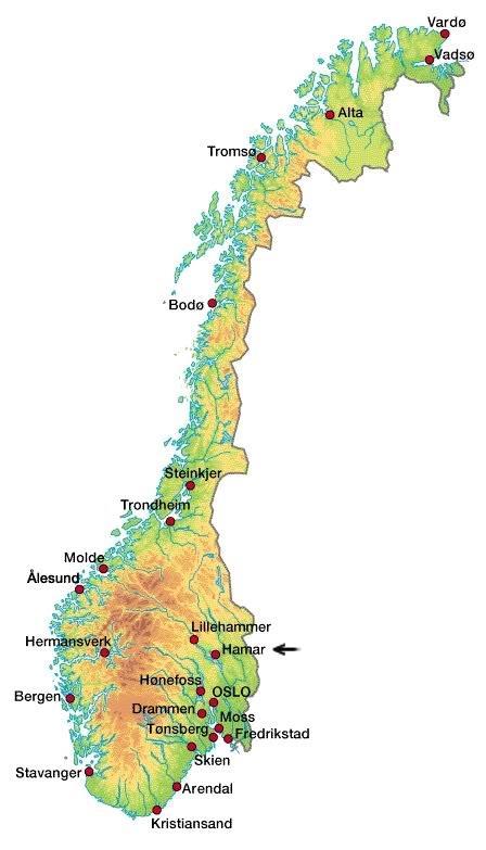Vegnettet Veger i Norge 10 500 km Riksveger, hvor 100 % er asfaltdekker 44 000 km Fylkesveger, hvor 90 % er asfaltdekker 38 500 km Kommunale, hvor
