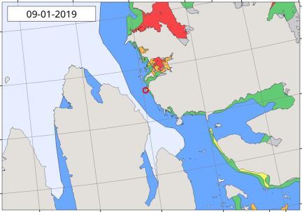 Det er nær isfri atkomst til havaristen fra nordvest, noe som sannsynligvis skyldes sterk vind og gradvis oppvarming i de første dagene av januar.