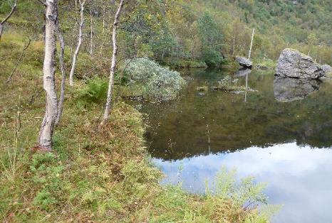 Vassdraget er om lag 412,1 km 2 stort med ei elvelenge på 60,3 km. Tilrenninga frå feltet er ca. 1225,5 mill.