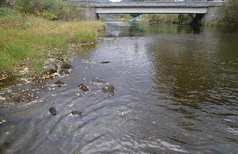 Dette har likevel i liten grad nokon verknad på elvehabitat og substratet. Vann-Nett har «liten grad» av hydromorfologisk påverknad på Granvinselva til sjø.