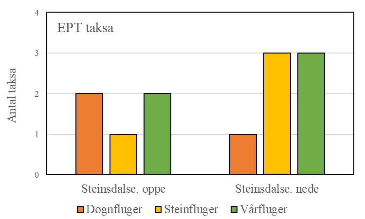 Botndyr Oppe i Steinsdalselva vart det funne 17 EPT-individ fordelt på 5 taksa, og til saman vart det funne 93 botndyr.