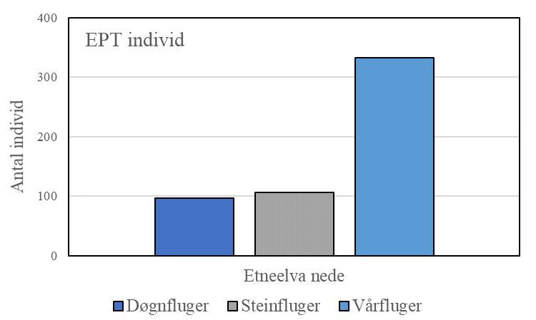 Antal artar av begroingsalgar, antal indekserte artar, PIT- og AIP-indeksar og observert heterotrof begroing på ein stad i Etnevassdraget 28. september 2017. Artsliste er oppgjeve i vedleggstabell 4.