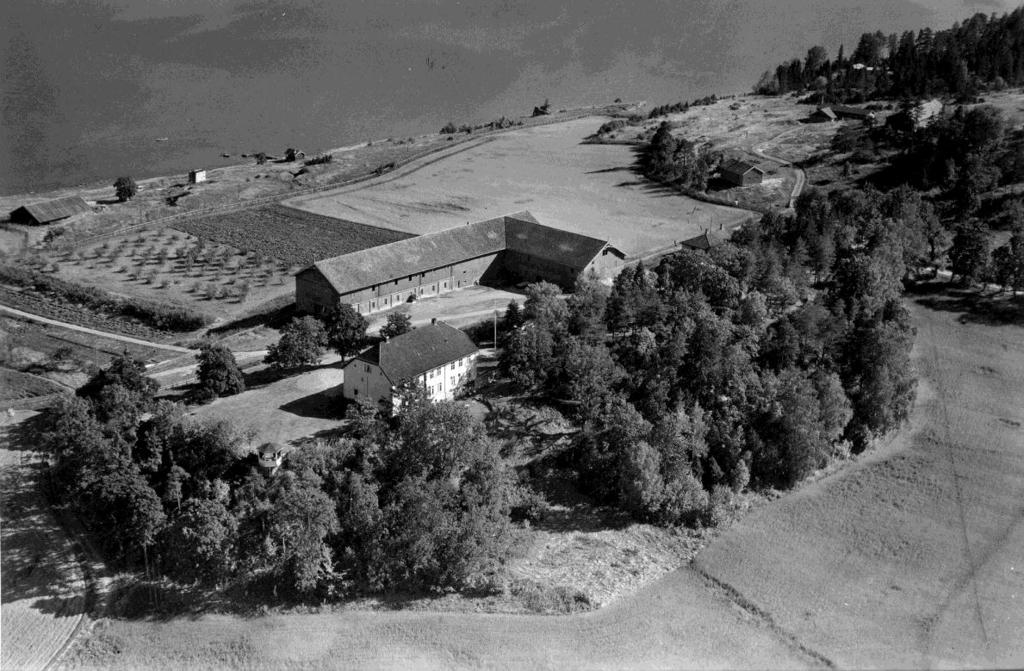 STEIN, GNR. 188 BNR. 1 Stein er den største gården på Ringerike. Tunet er plassert på en markert høyde sørøst på Steinssletta.