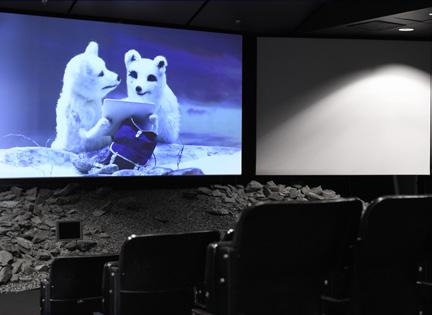 Kinoen I kinoen kan opptil 54 elever og lærere se et utvalg av korte informasjonsfilmer: