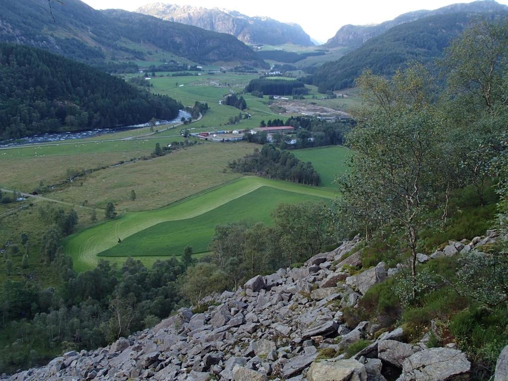 Forord Stiftelsen BioFokus har på oppdrag fra Forsvarsbygg foretatt naturfaglige registreringer i Vikedalsmoen skytefelt i Bjerkreim kommune, Rogaland.