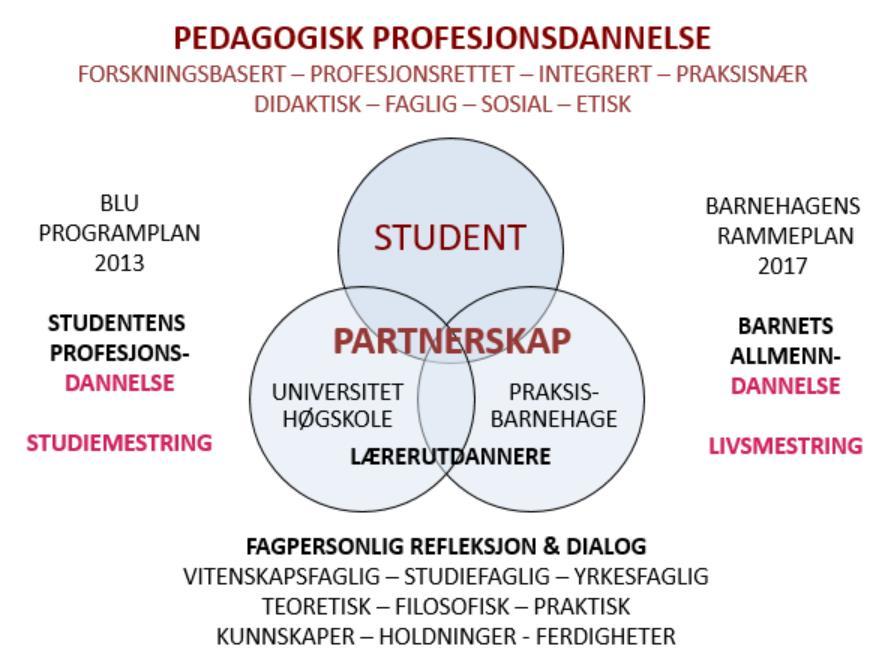 1. DET FORPLIKTENDE SAMARBEIDET I PARTNERSKAPET 1.1. Partnerskaplig samarbeid Ved USN omtaler vi praksisfeltets barnehager som partnerbarnehager og praksisfeltets veiledere for lærerutdannere.