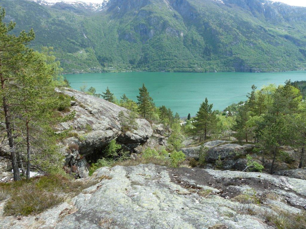 Sørfjorden er den del av Hardangerfjorden der kontrasten mellom fruktbare bygder og evig snø er sterkest.digraneselvi har sitt utspring fra Lausvatnet (860 moh).